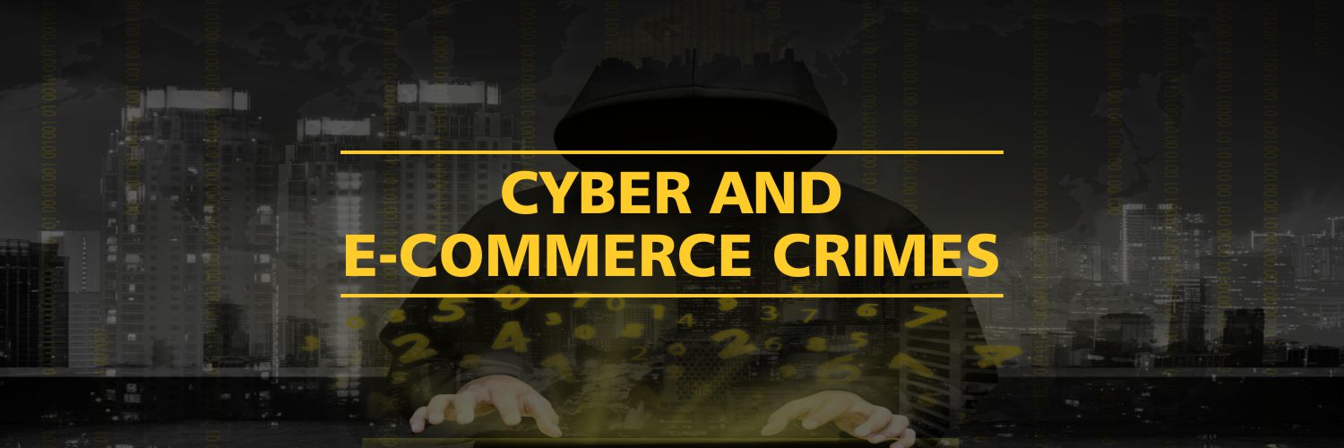 Cyber and E-Commerce Crimes