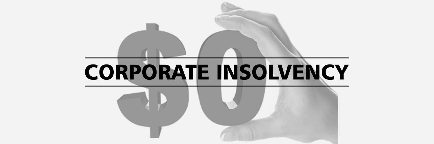 Corporate Insolvency: Resolution Process & Liability of Personal Guarantors