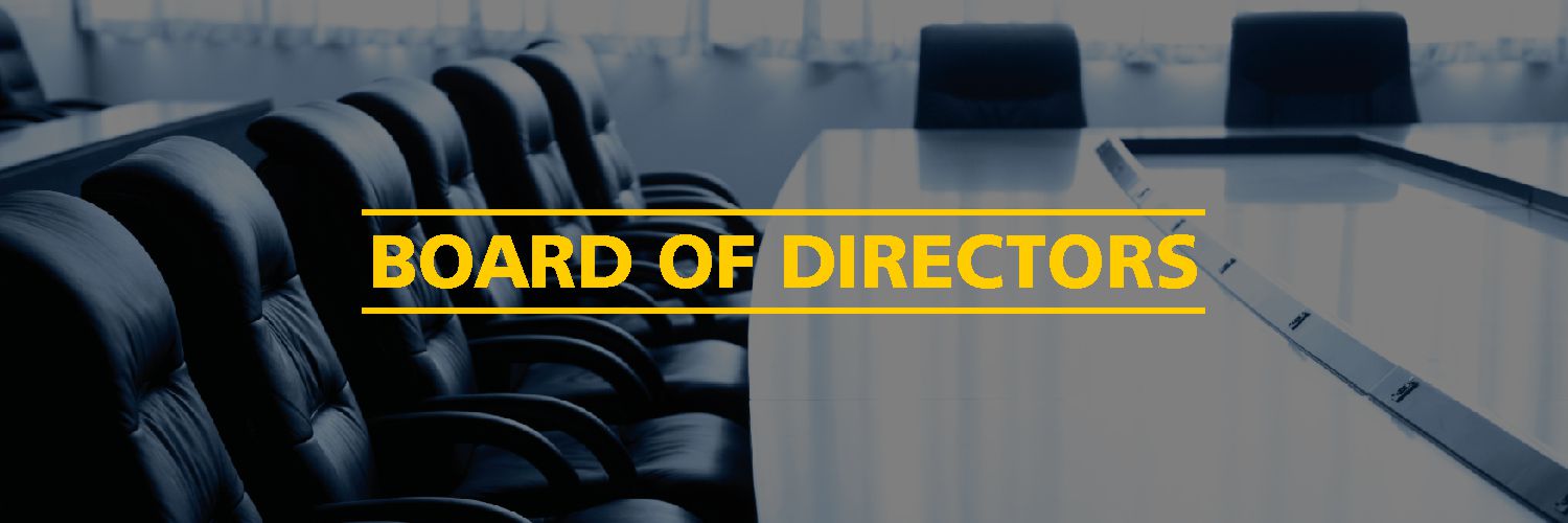 Director and the Board of Directors under the Companies Act, 2013