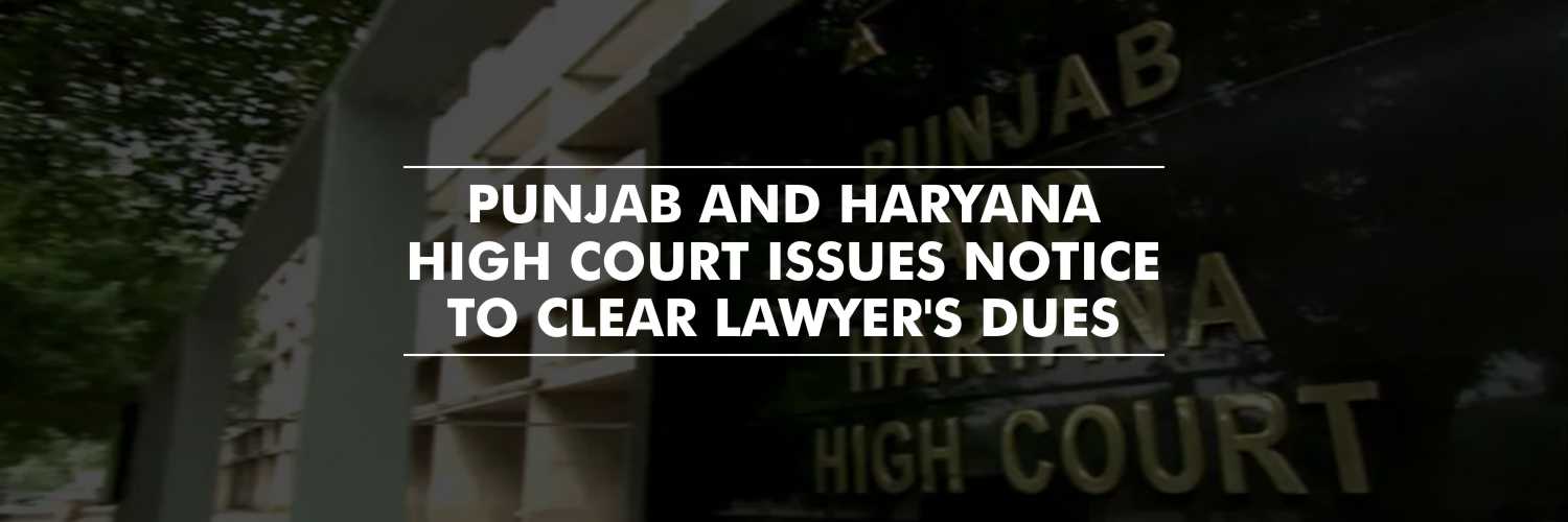 The Punjab And Haryana High Court Warns Officials to Clear the Lawyer’s Dues