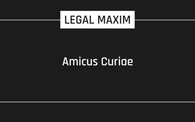 Amicus Curiae