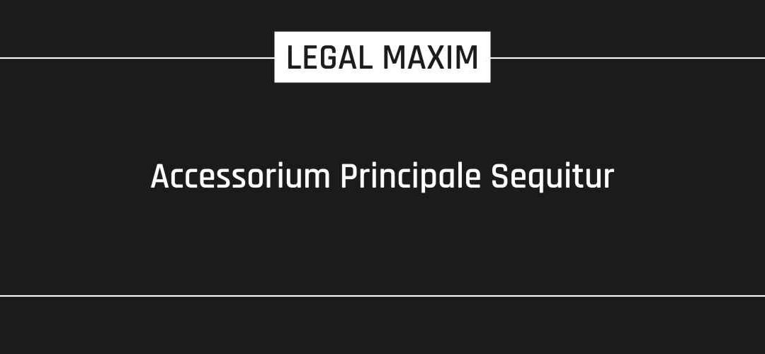 Accessorium Principale Sequitur