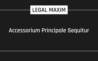 Accessorium Principale Sequitur