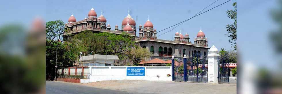 Don’t Plant Trees on Tribal Lands: Telangana High Court to State Government