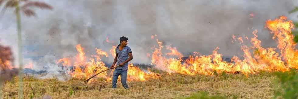 “If Anybody Will Fall Sick, We Will Make You Responsible”; SC to SG Tushar Mehta over Stubble Burning Matter