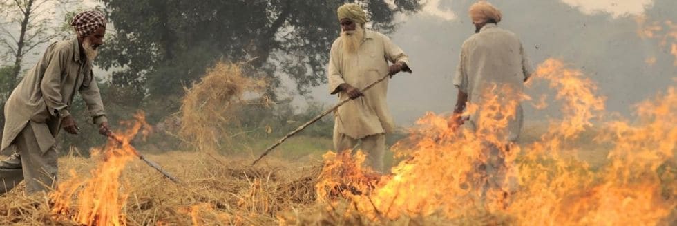 SC appoints the former judge of apex court to monitor steps to prevent stubble burning