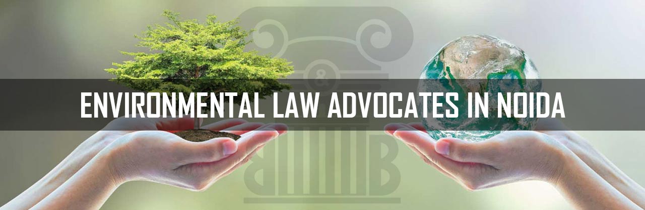 Environmental Law Advocates in Noida