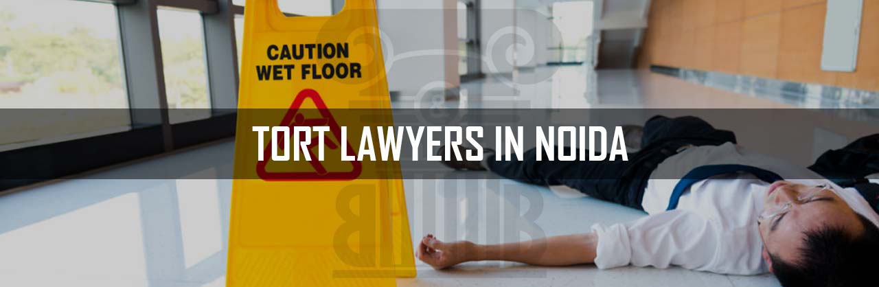 Tort Lawyers in Noida