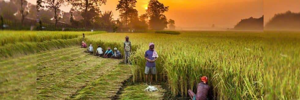 Farmers Have Constitutional Right to Continue With Protest; SC Suggests Centre to Put Farm Laws on Hold