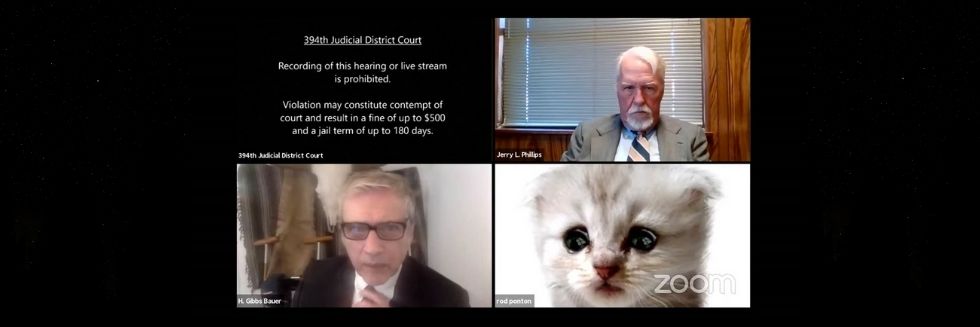 ‘I Am Not A Cat’: US Lawyer Struggles to Turn Off Cat Filter During Virtual Court Hearing