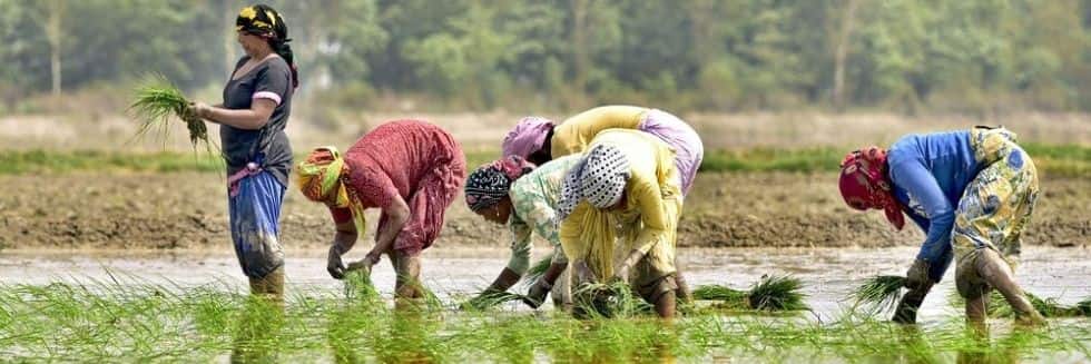 Supreme Court-Appointed Committee Submits Report On Farm Laws