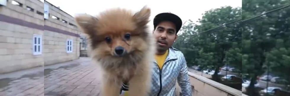 YouTuber Gaurav Sharma Arrested for Floating Dog In Air Using Helium Balloons