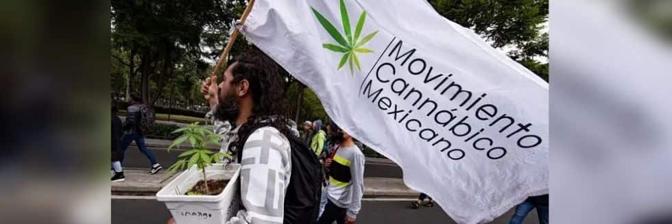 Mexico Supreme Court Decriminalised Recreational Use of Marijuana