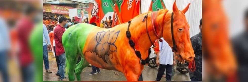 BJP Flag Painted All Over Horse, People For Animals (PFA) Filed Complaint