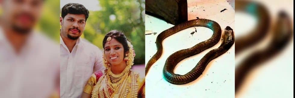 Kerala Court Found Husband Guilty of Using Venomous Snakes Twice To Kill Wife: Uthra Murder Case