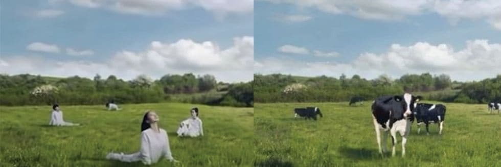 “We Bow Our Heads In Apology”: Dairy Giant Apologize For Depicting Women As Cows In Their Advertisement