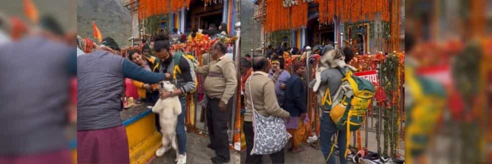 YouTubers And Vloggers Visit Kedarnath For Reels Only: Temple Committee Files FIR Against Noida Vlogger For Taking Dog To Shrine