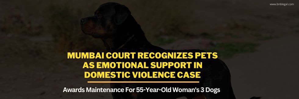 Mumbai Court Recognizes Pets as Emotional Support in Domestic Violence Case, Awards Maintenance For 55-Year-Old Woman’s 3 Dogs