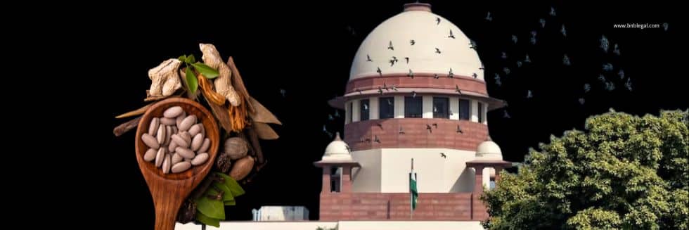 Supreme Court Upholds Distinct Pay Scales: Ayurvedic and Allopathic Doctors