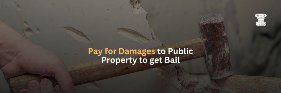 Law Commission Advocates Accountability: Bail Hinges on Depositing Damages for Public Property Offenses